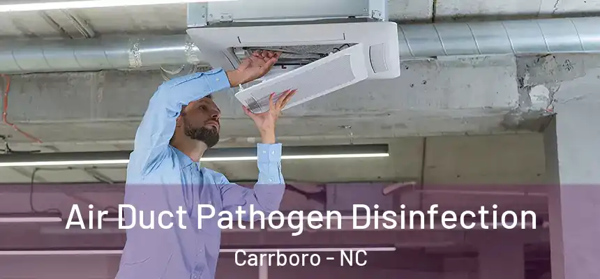  Air Duct Pathogen Disinfection Carrboro - NC