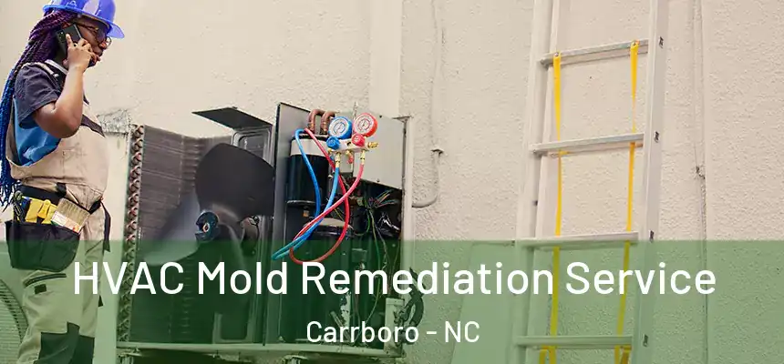 HVAC Mold Remediation Service Carrboro - NC