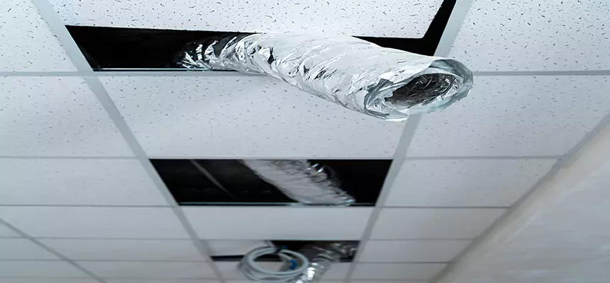 Affordable HVAC Sanitizing After Pest Removal in Carrboro