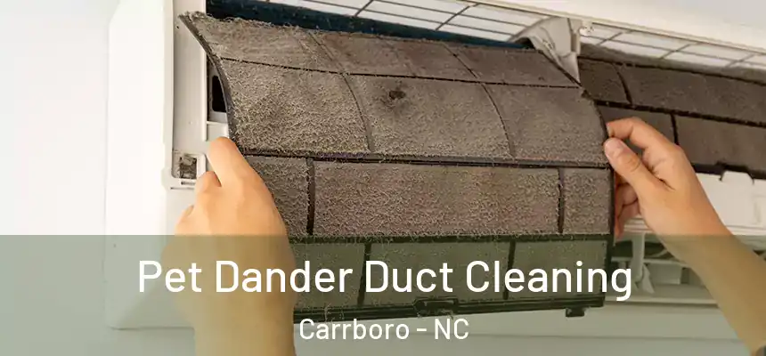 Pet Dander Duct Cleaning Carrboro - NC