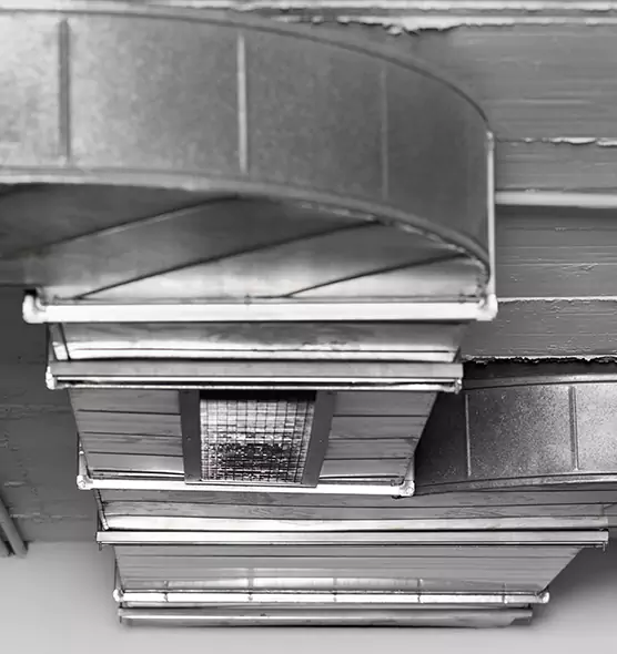 Professional Air Duct Pest Removal in Carrboro, NC