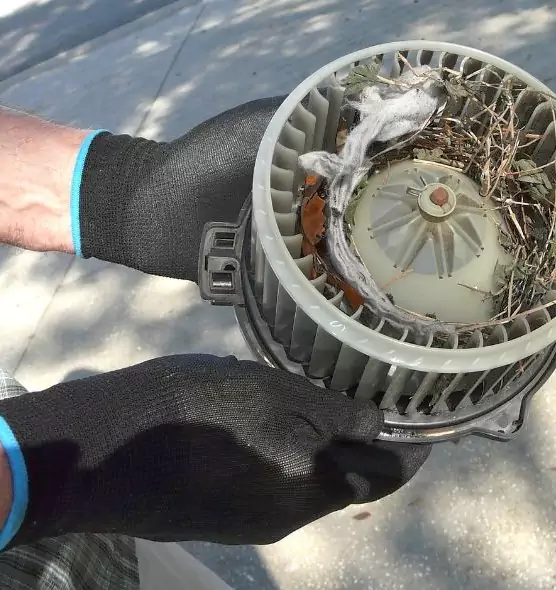 About Air Duct Rat Removal in Carrboro, NC