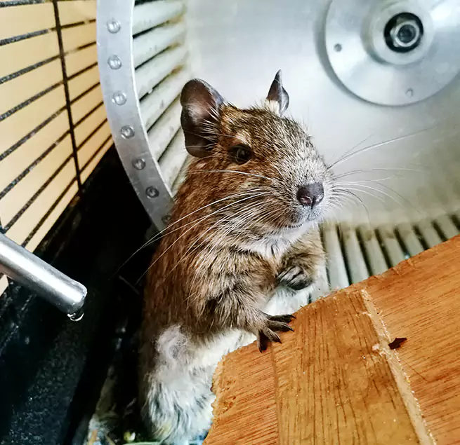 Why Homeowners & Businesses Trust Us Carrboro, NC?