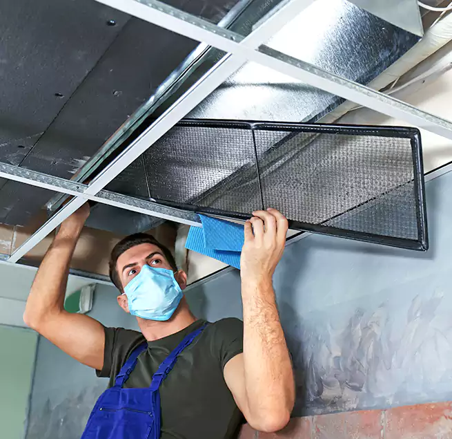 Why Homeowners Businesses Trust Us in Carrboro, NC